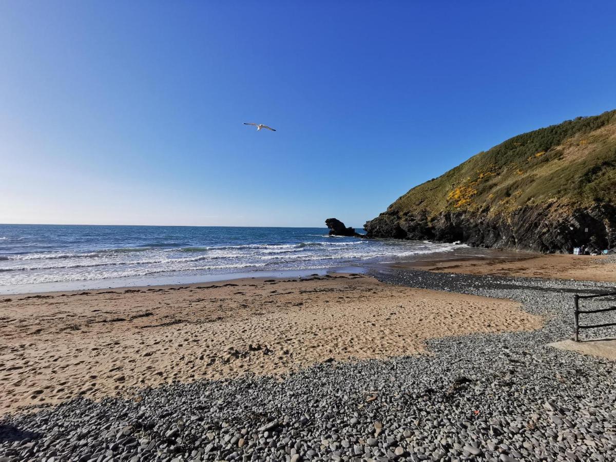 Wellstone Cottages - Coach House Llanfyrnach Экстерьер фото