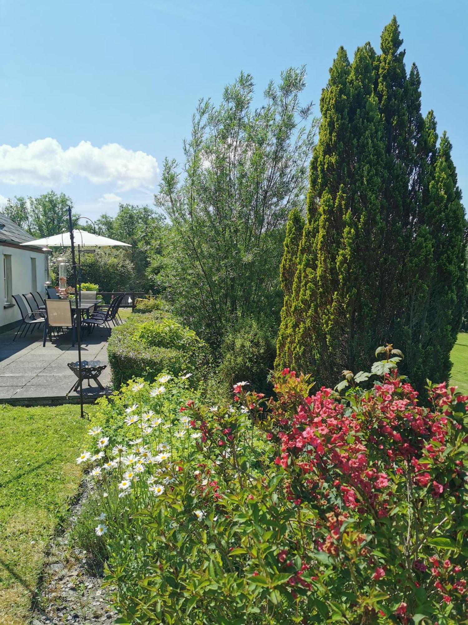 Wellstone Cottages - Coach House Llanfyrnach Экстерьер фото